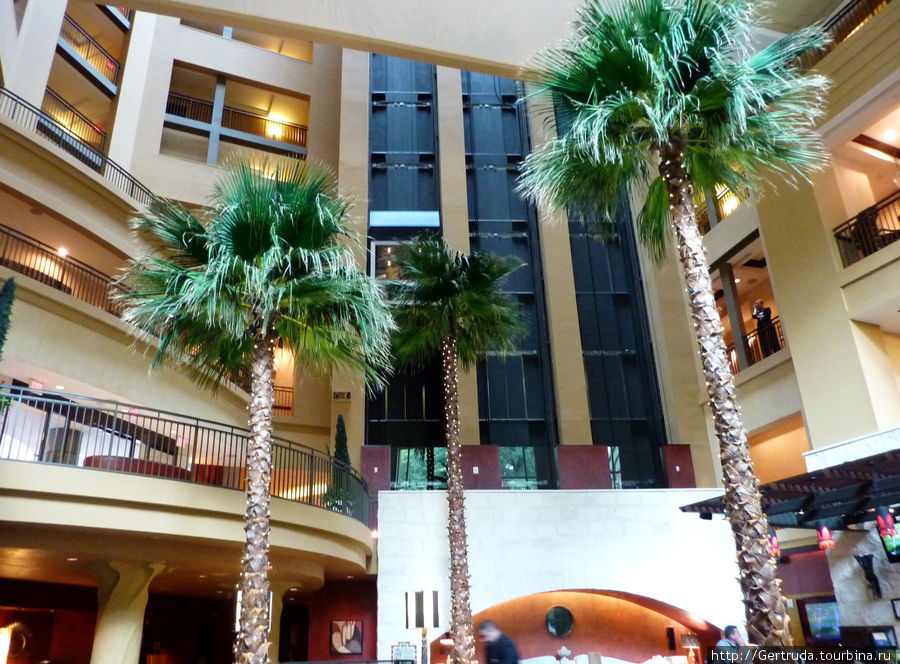 Внутри  отеля — лифты, пальмы в холле первого этажа