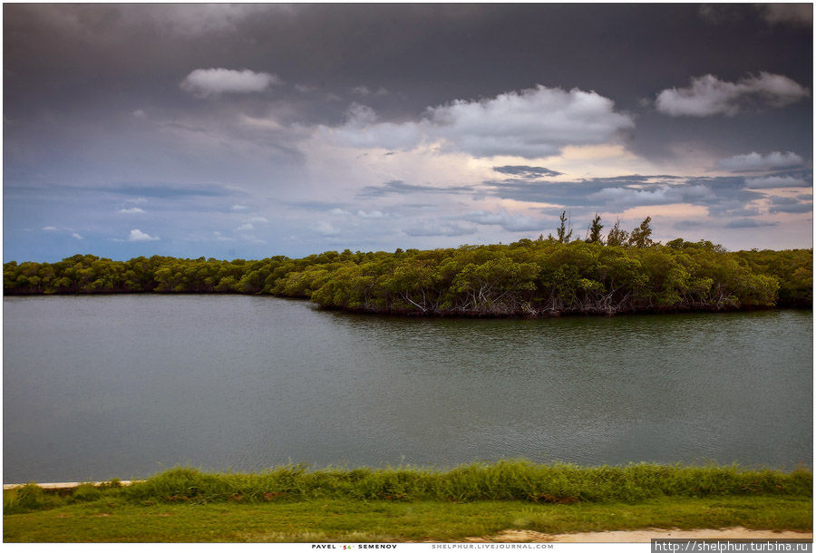 В дальней части В дальней части