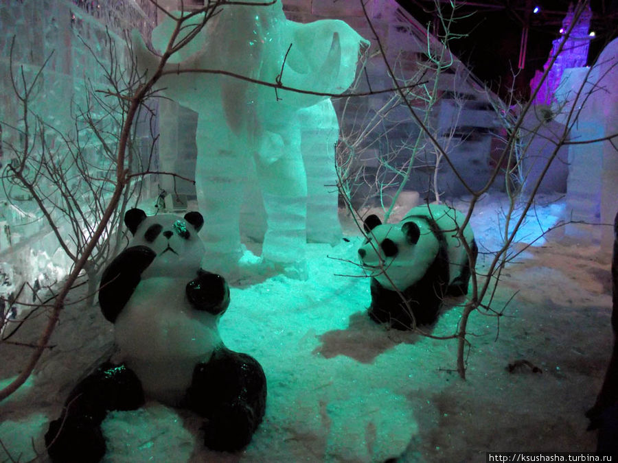 Выставка ледяных скульптур Иерусалим, Израиль Выставка ледяных скульптур Иерусалим, Израиль