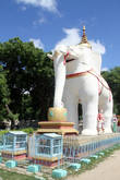 Белый слон у входа в комплекс Тамбудхе