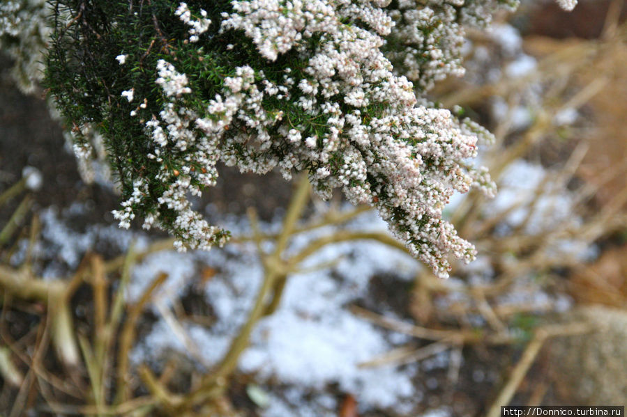 Люблю грозу в начале марта... Паламос, Испания Люблю грозу в начале марта... Паламос, Испания