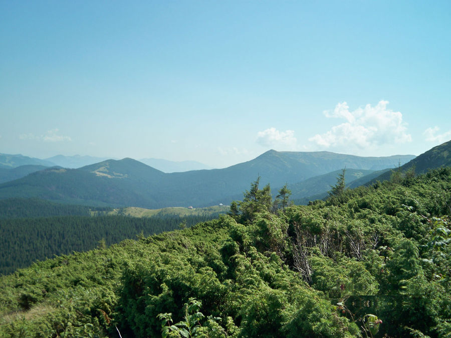 Украинские Карпаты Украинские Карпаты