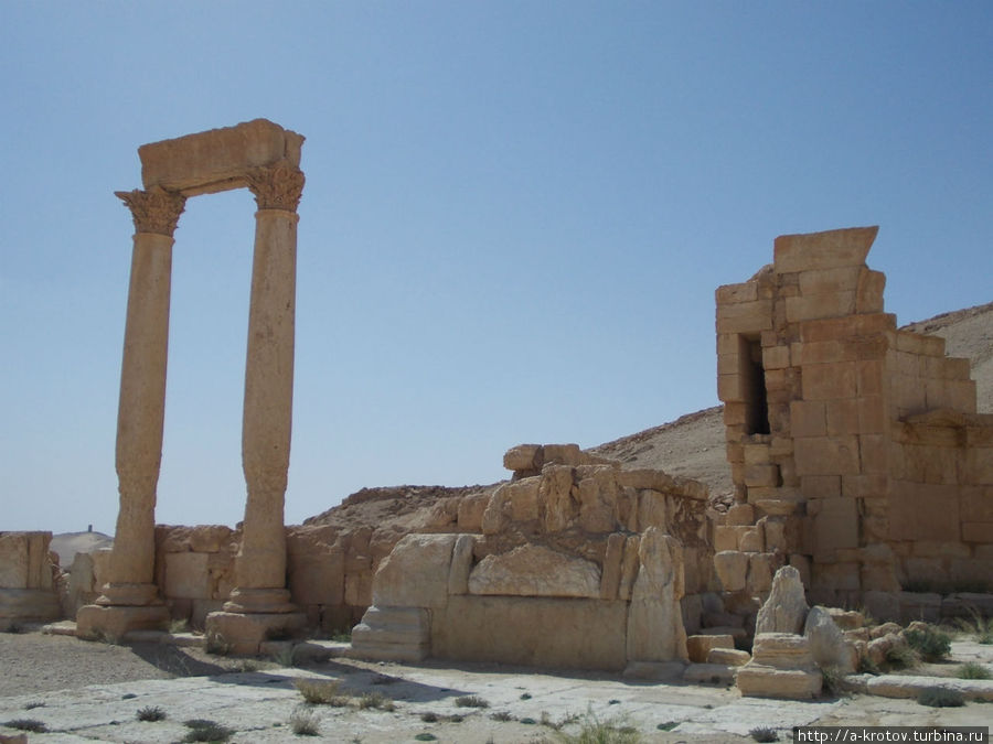 Пустынная Пальмира Тадмур (Пальмира), Сирия