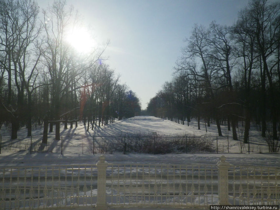 Перспектива, открывающаяся из окон Полукруглого зала Перспектива, открывающаяся из окон Полукруглого зала