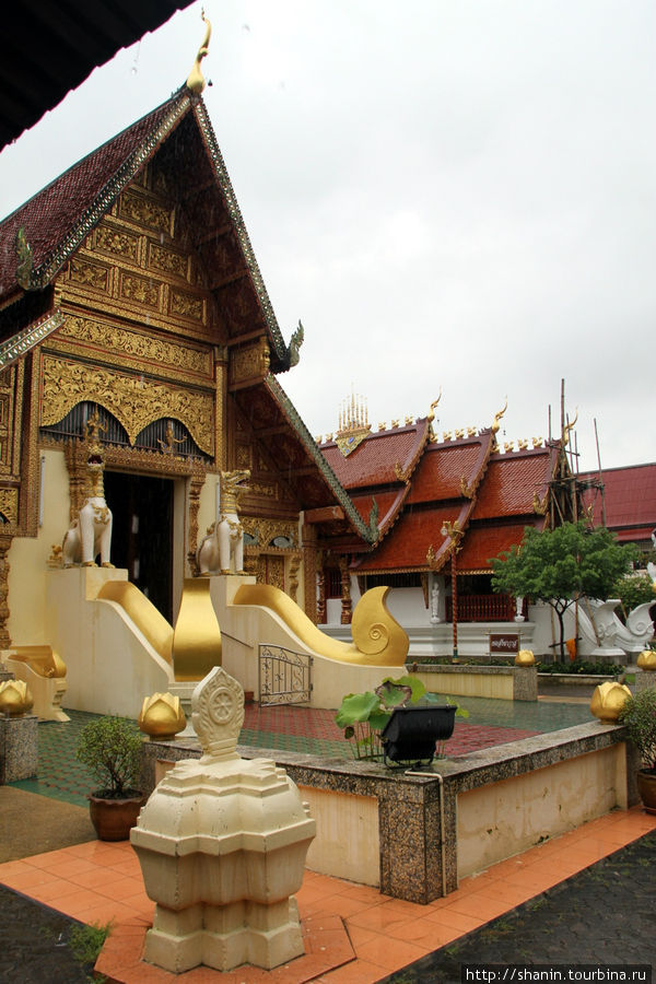 Мир без виз — 379. Город двух Будд Чианграй, Таиланд