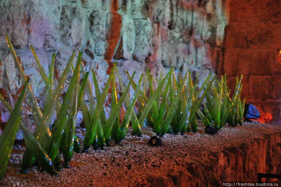 Стеклянная трава Цитадели Иерусалим, Израиль