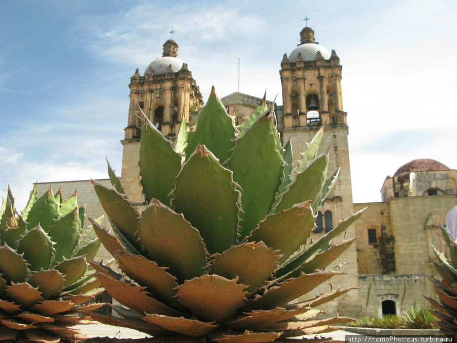 Оахака Оахака