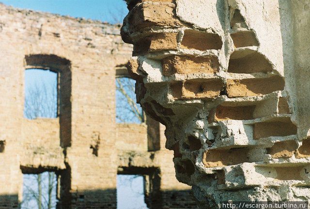 Ружаны: величественные останки минувших дней Ружаны, Беларусь