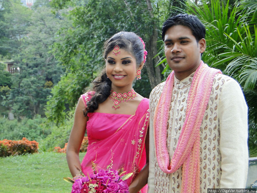 Алые платья потрясающе красивых невест делают их похожими на прекрасный цветок дерева искушения. Перадения, Шри-Ланка