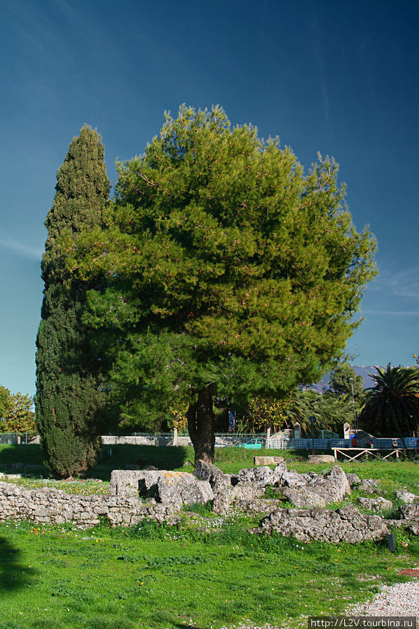 Древнегреческий город Пестум Салерно, Италия