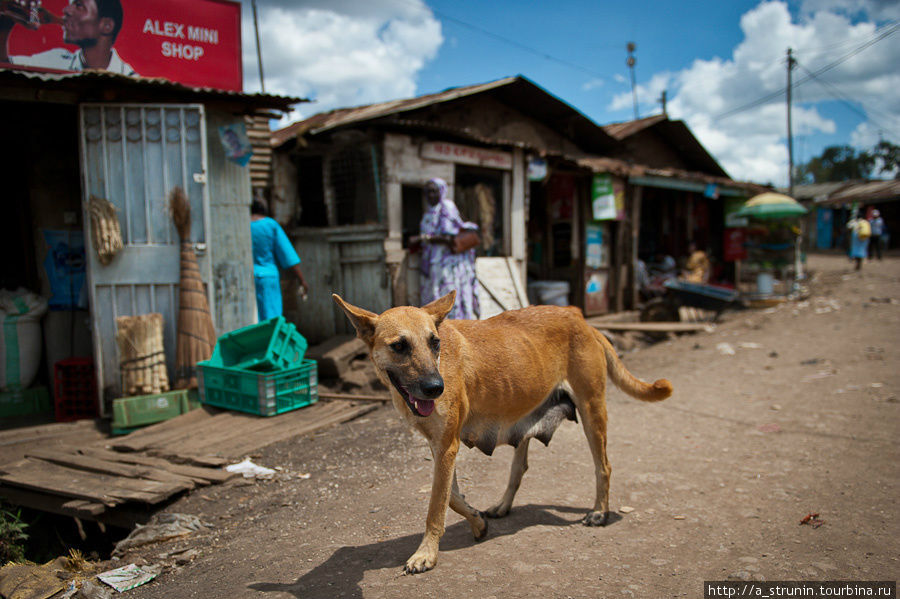 Потерянный мир. Часть 1 Найроби, Кения