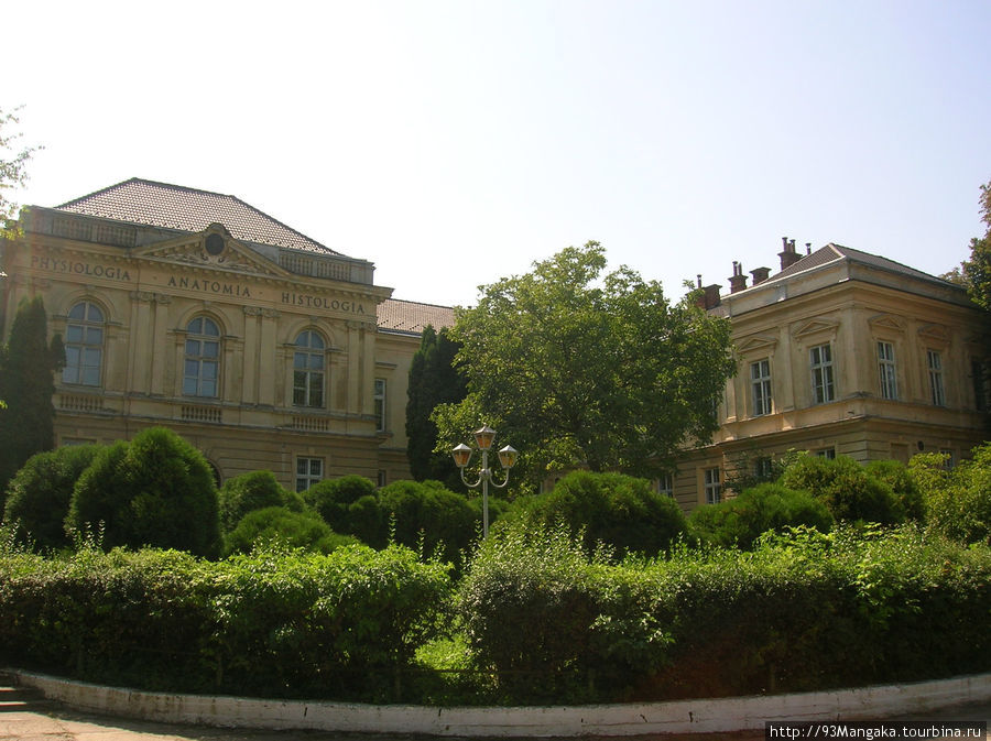 Тихие прогулки Львов, Украина Тихие прогулки Львов, Украина