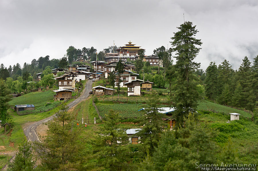 Гангтей-гомпа, самый большой монастырь школы ньингма в Бутане Бутан