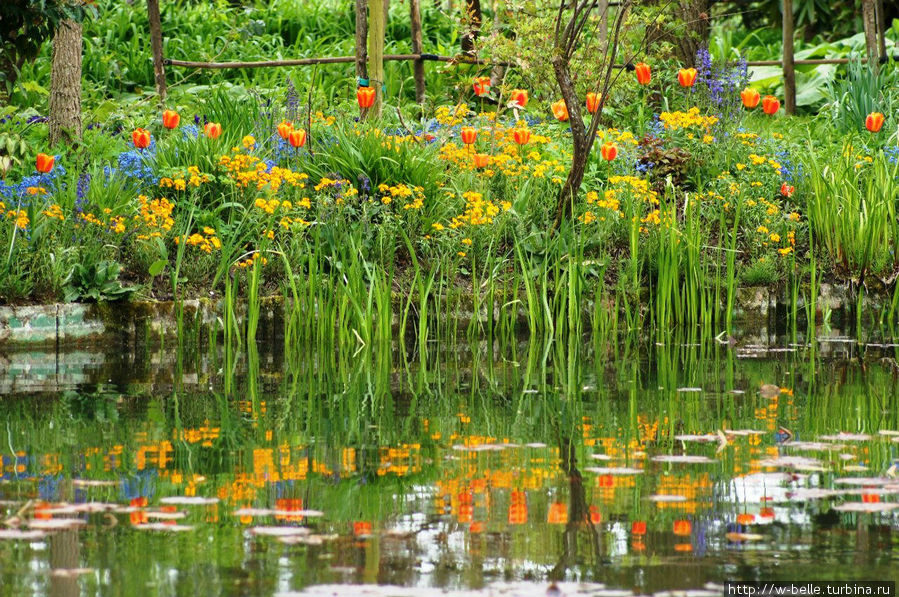 Был май и цвел прекрасный сад.  Цветотерапия 2012, ч.2 Живерни, Франция