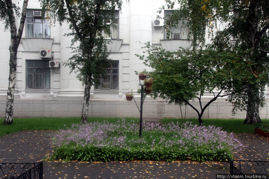 Педагогический университет в Волгограде Волгоград, Россия