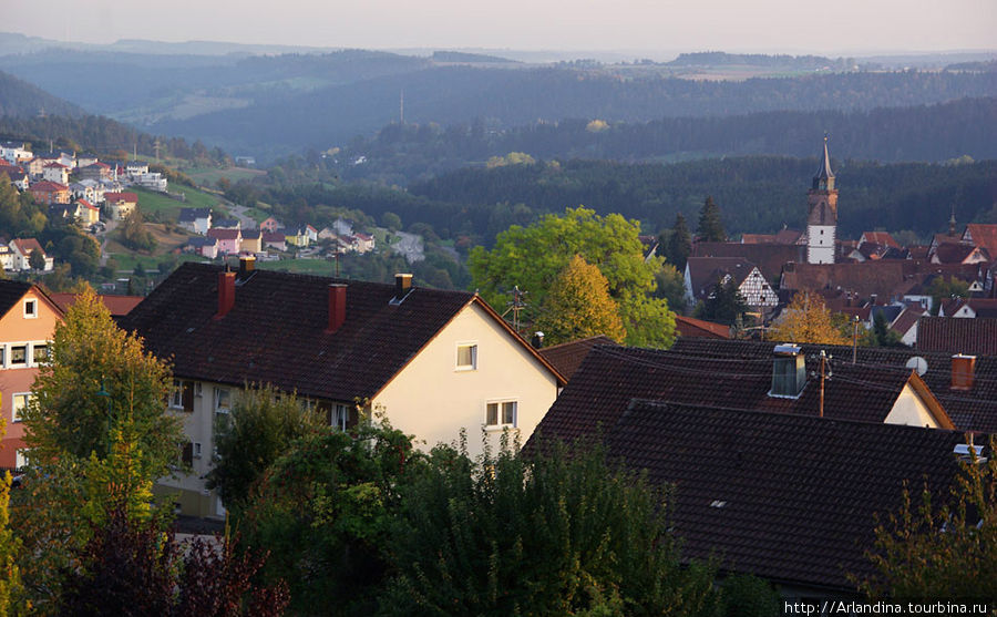 Осень, Швацвальд, полуденные тени... Земля Баден-Вюртемберг, Германия