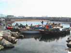 Лодки рыбаков со свежим уловом.