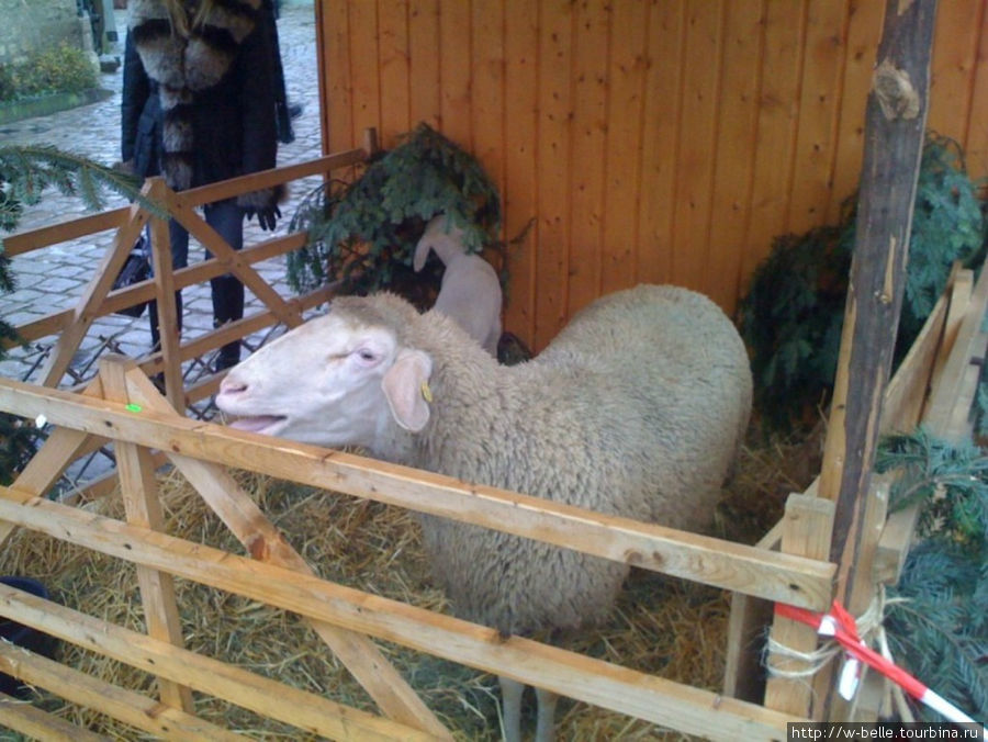 Как завалило снегом деревушку Флерсбахталь Земля Бавария, Германия Как завалило снегом деревушку Флерсбахталь Земля Бавария, Германия