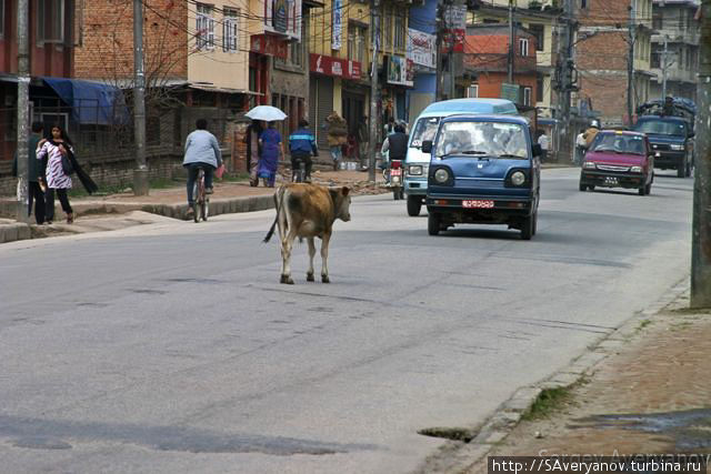 Улицы Катманду Катманду, Непал