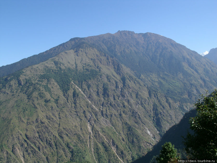 Вверх от Туло -Сябру среди тамангов Лангтанг, Непал