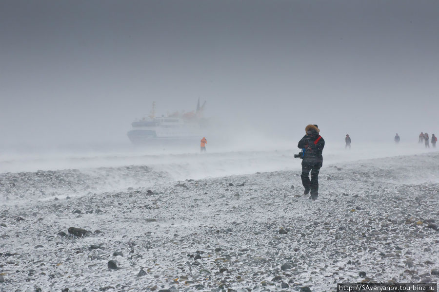 Пролив Дрейка и острова высадка в Бухте Янки Остров Кинг-Джордж, Антарктида