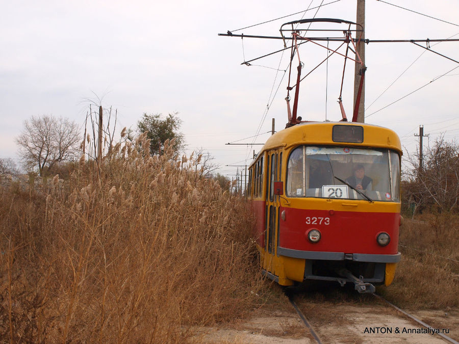 Камышовый трамвай подходит к конечной остановке в селе Усатово. Усатово, Украина