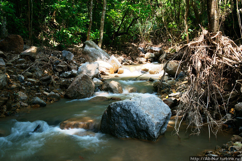 Мы нашли для себя ни с чем не сравнимое удовольствие: отыскивать речки в гористой местности и подниматься по каменистому руслу, до неизбежно возникающих водопадов. Потому что, если идти по руслу, то не нужно продираться через заросли, а можно просто топать по холодной воде, дающей отличную прохладу в полуденное пекло. А водопады встречаются на каждой реке. Краби, Таиланд