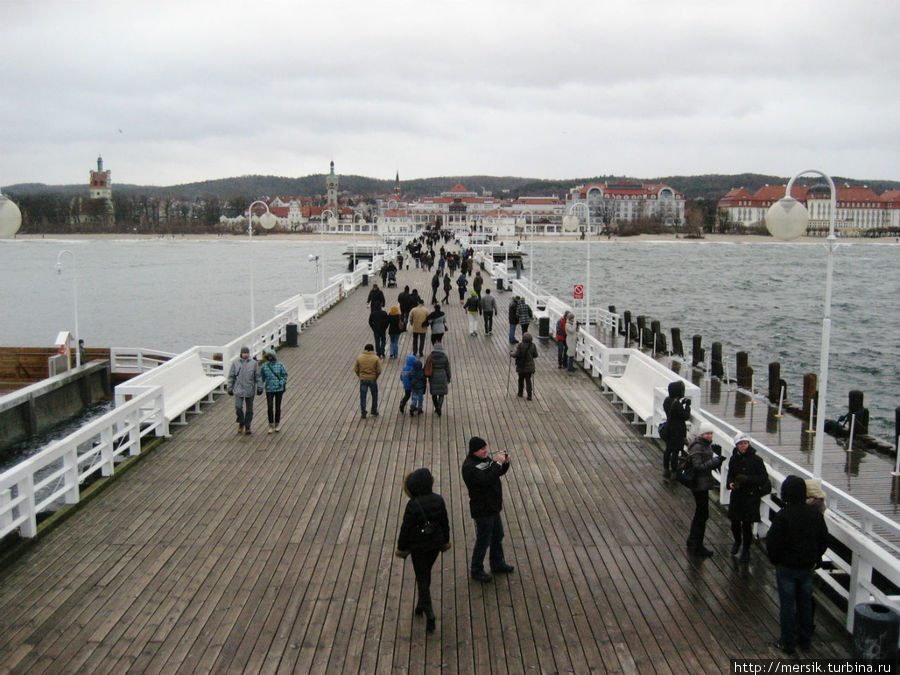 Балтийское море, чайки и самый длинный мол в Европе