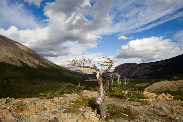 Суровенько здесь, на откр Суровенько здесь, на откр