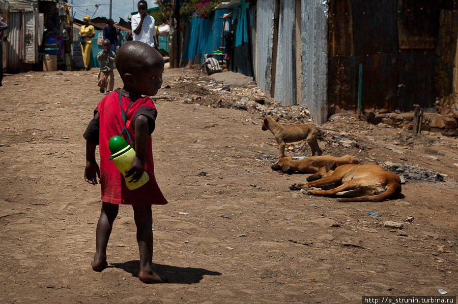 Потерянный мир. Часть 3 (Сорняки) Найроби, Кения