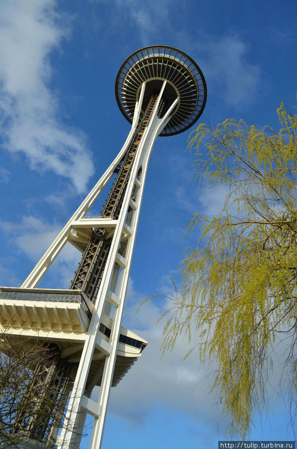 На синоптиков надейся, а сам не плошай! Сиэттл, CША На синоптиков надейся, а сам не плошай! Сиэттл, CША