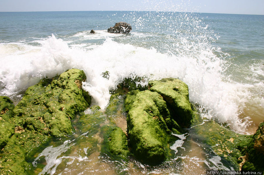 Удивительные зеленые валуны то исчезают, занесенные тоннами песка, то появляются снова. Эту фотографию сделала моя подруга Татьяна Шершнева. Регион Алгарве, Португалия