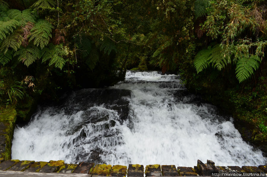 Водопад прямо у дороги Пуеуэ Национальный Парк, Чили