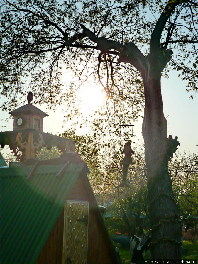 У лукоморья дуб зеленый, ... И днем и ночью кот ученый 
... Русалка на ветвях сидит Суздаль, Россия