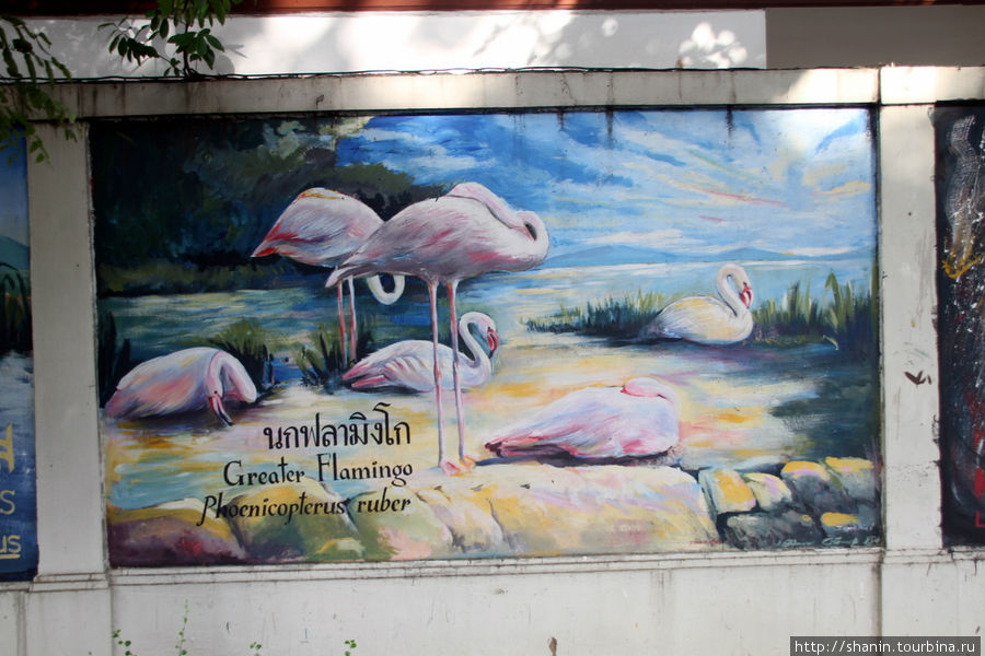 Звери - в рисунках и скульптурах Бангкок, Таиланд