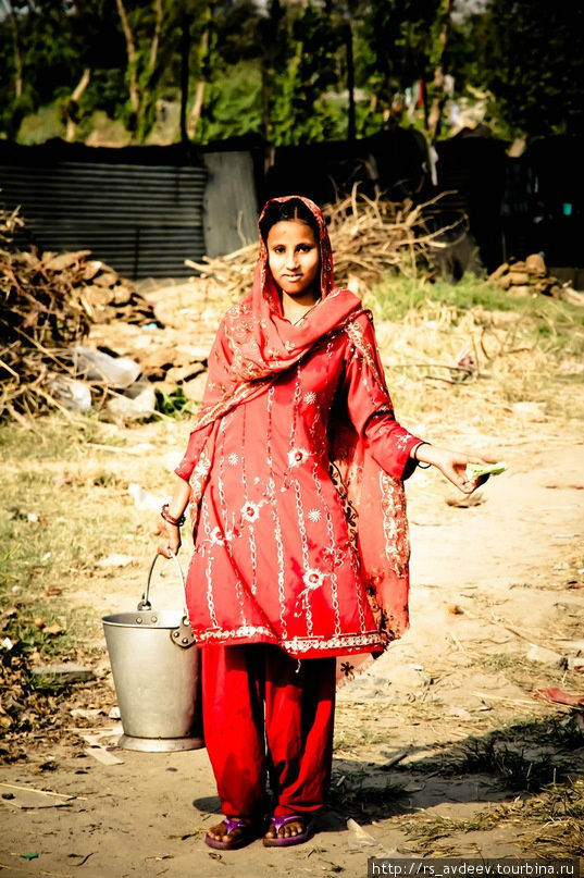 Нью-Дели. Островки красоты среди нищеты и разрухи. Дели, Индия