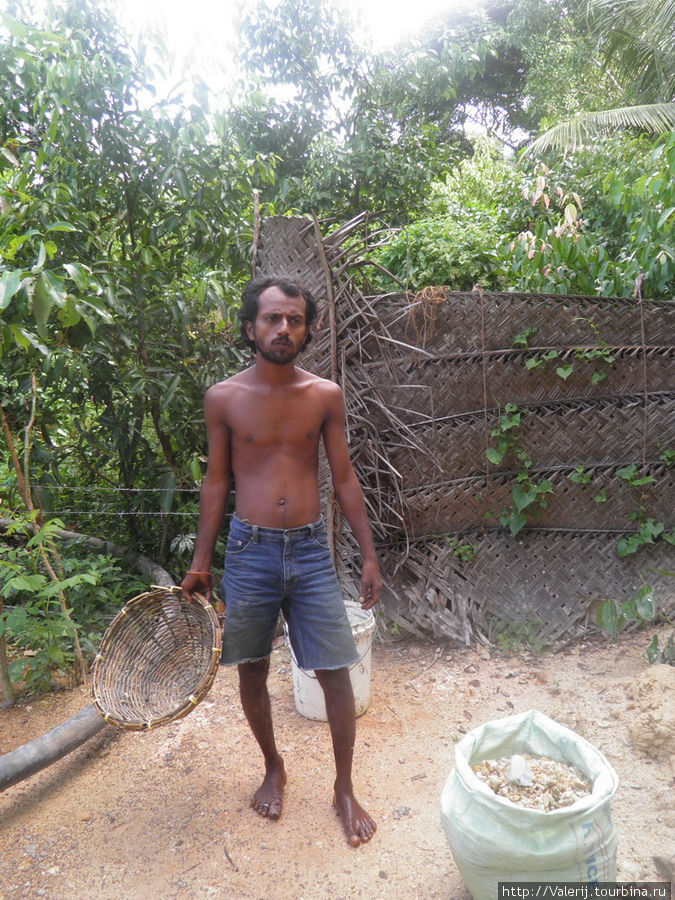 Sri Lanka (18) Подари мне лунный камень … Бентота, Шри-Ланка