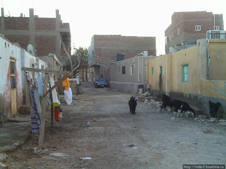 Контрасты Хургады. Хургада, Египет
