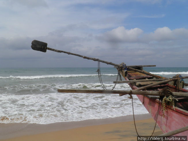 Sri Lanka (7) Ловля рыбы, или кто не успел, тот опоздал! Бентота, Шри-Ланка