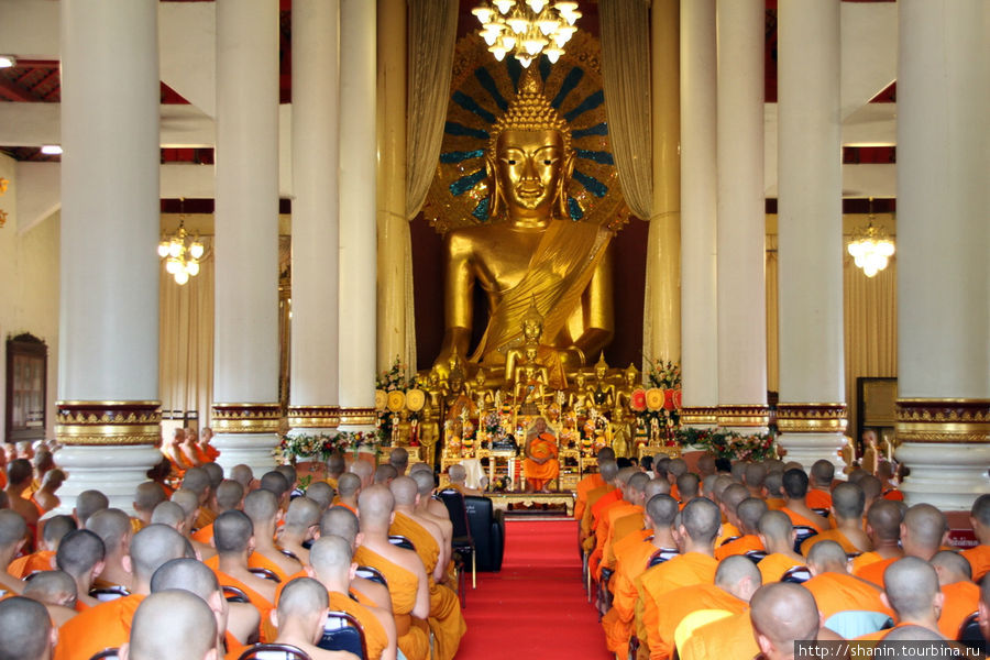 В храме, превращенным в настоящий актовый зал Чиангмай, Таиланд