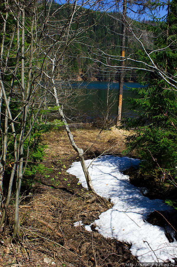 Начало мая. Снег еще не растаял. Синевир Национальный Парк, Украина