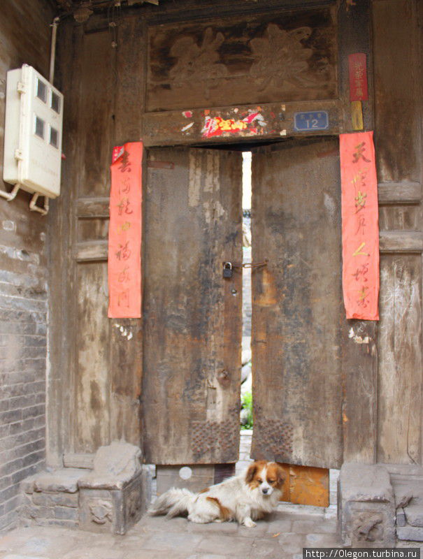 Вход в старый дом охраняет собачка Пинъяо, Китай