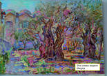 Оливы в Гефсиманском саду. Автор назвал картину Божий сад
