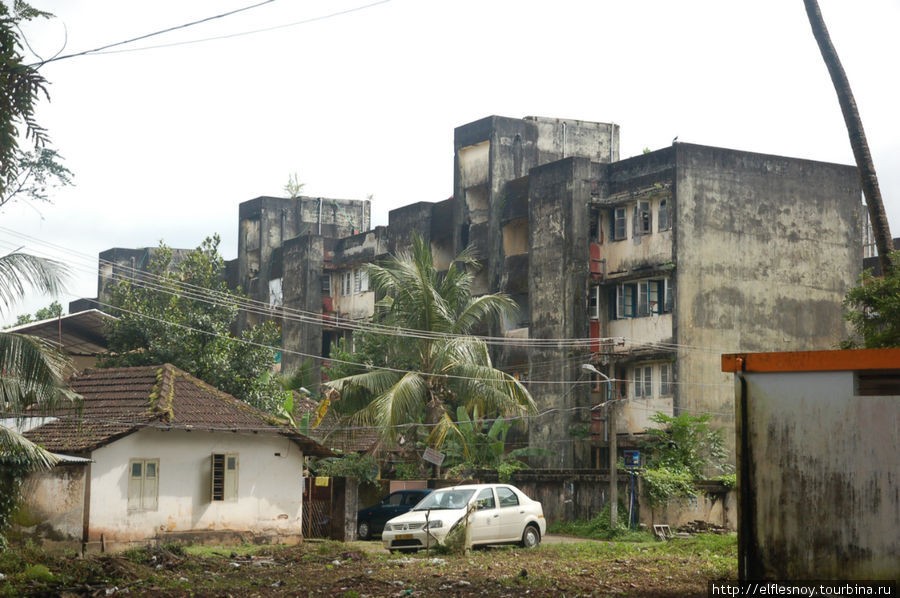 Тропический климат превращает любую бетонную поверхность в декорации для зомби-апокалипсиса. Кочи, Индия