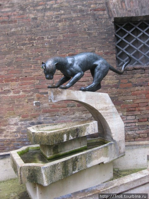 Очень хитрый фонтан с пантерой Сиена, Италия