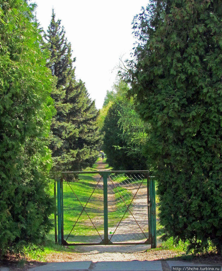 на выходные ворота закрывают Докучаевское, Украина