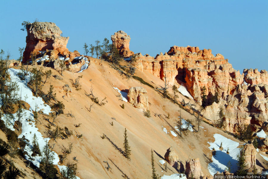 Каменные башенки  необычного каньона Национальный парк Брайс-Каньон, CША