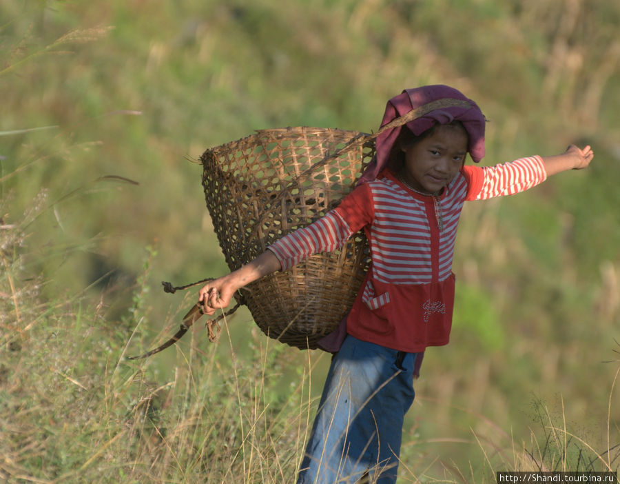 Юная работница Зона Дхавалагири, Непал