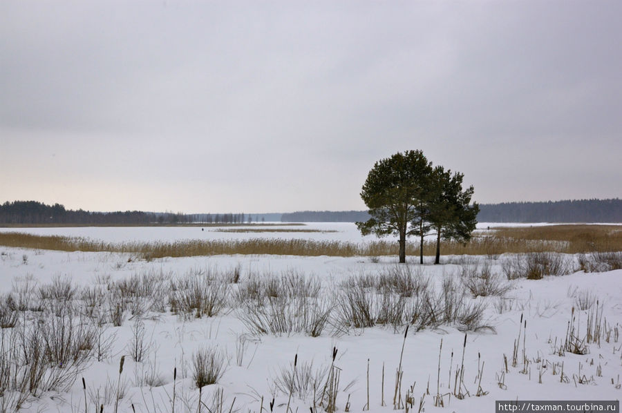 Экологический туризм на озере Вселуг Пено, Россия