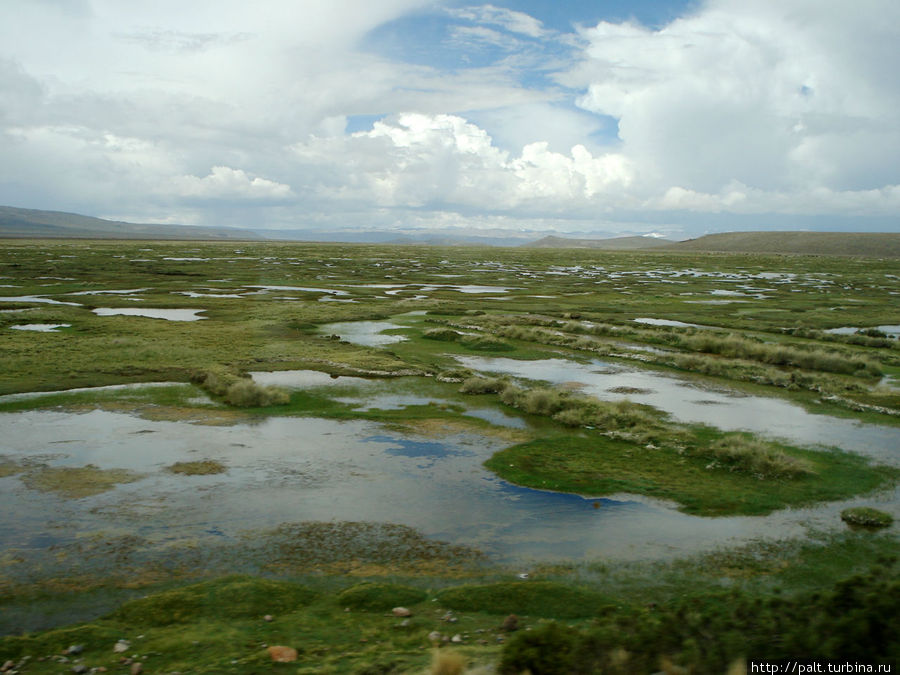 Альтиплано в сезон дождей Альтиплано в сезон дождей